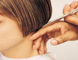Chicagoland eyebrow specialist Woman Hair Cut